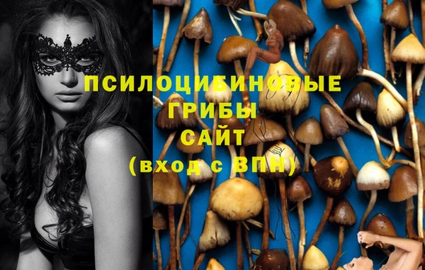 гидра Новодвинск
