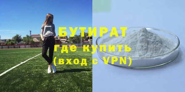 гидра Новодвинск