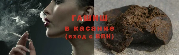 гидра Новодвинск