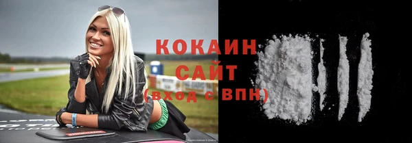 гидра Новодвинск