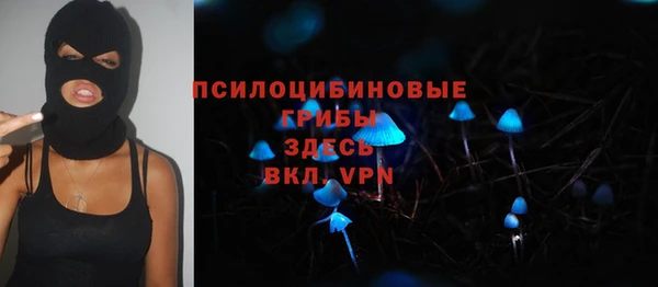 марки lsd Болотное