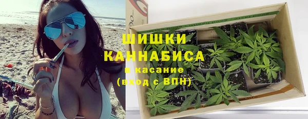 гидра Новодвинск