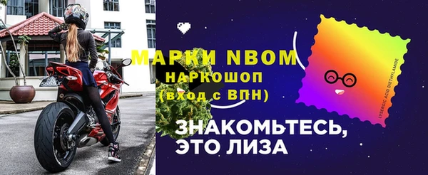гидра Новодвинск