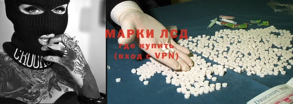 гидра Новодвинск